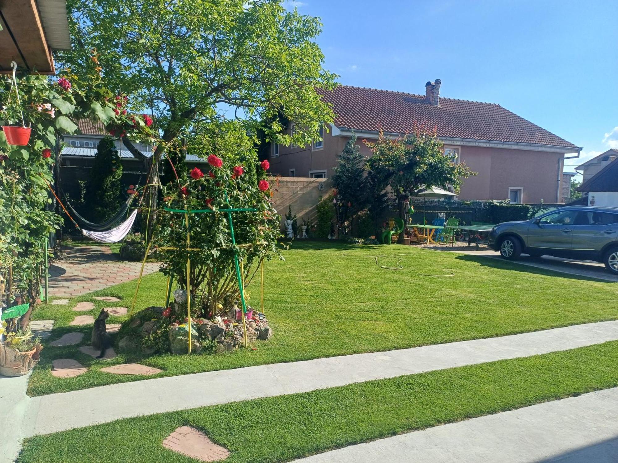 מלון ביילה פליקס Casa Marinela מראה חיצוני תמונה
